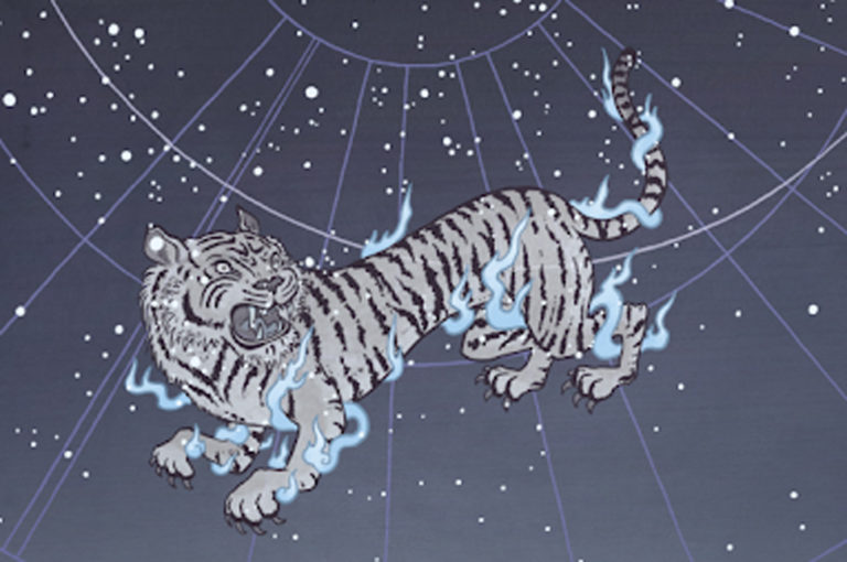 white tiger in sky