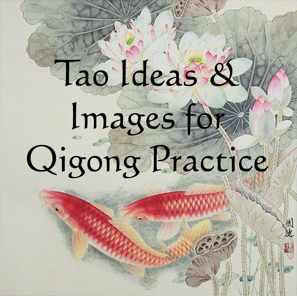 Tao Ideas logo