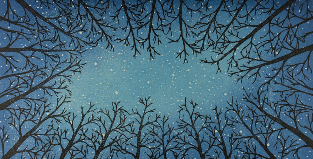 night sky in forest print